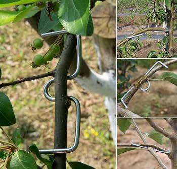 Branch Bending Clips