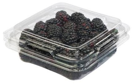 11oz clamshell