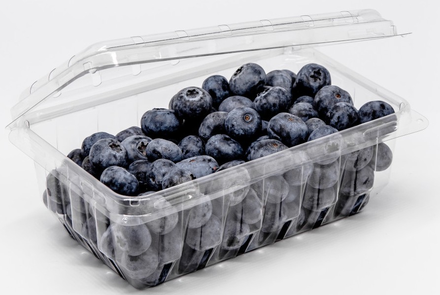 18oz clamshell